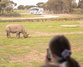 Monarto Zoo.jpg